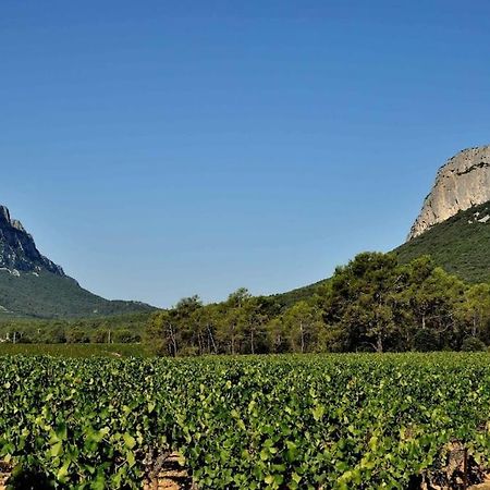 Gite Du Pic Saint Loup Valflaunes 外观 照片