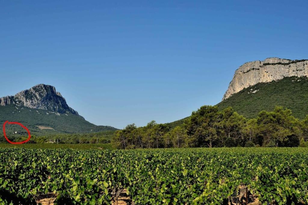 Gite Du Pic Saint Loup Valflaunes 外观 照片